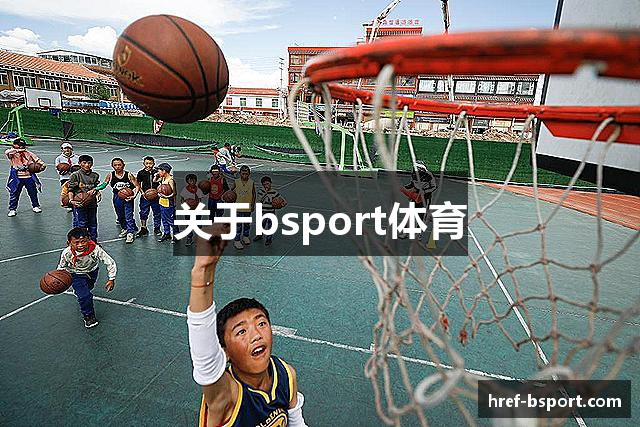 关于bsport体育
